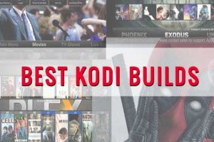 working builds for kodi 17.6