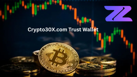 Crypto30X.com Trust Wallet